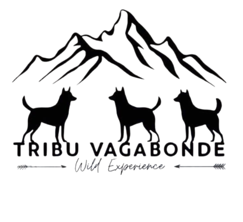 reservation chiens de traineau