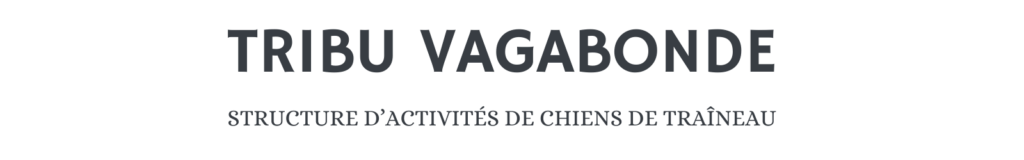 chiens de traineau dans les vosges