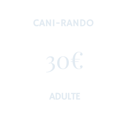 cani-rando dans les Vosges